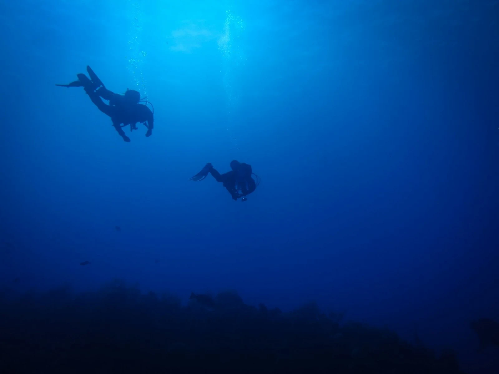 Сертификация PADI Advanced Open Water