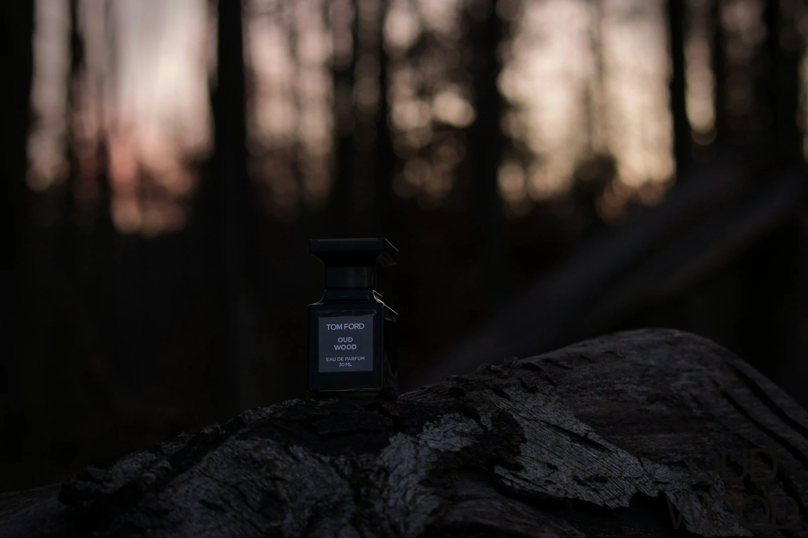 Парфюм Tom Ford Lost Cherry 50 мл