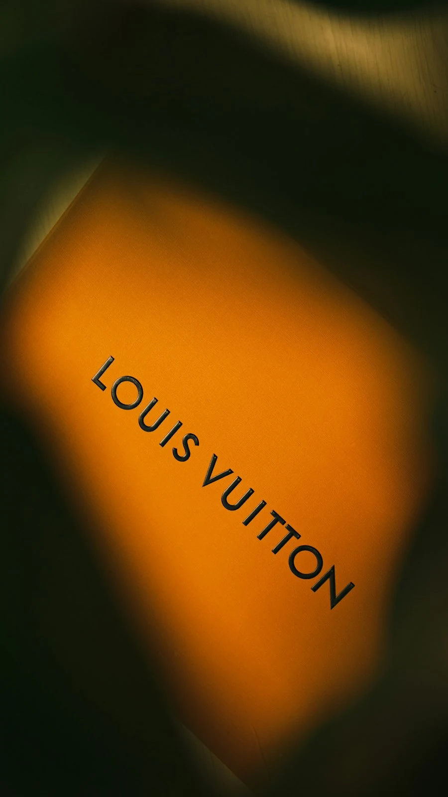 Кошелёк Louis Vuitton Zippy