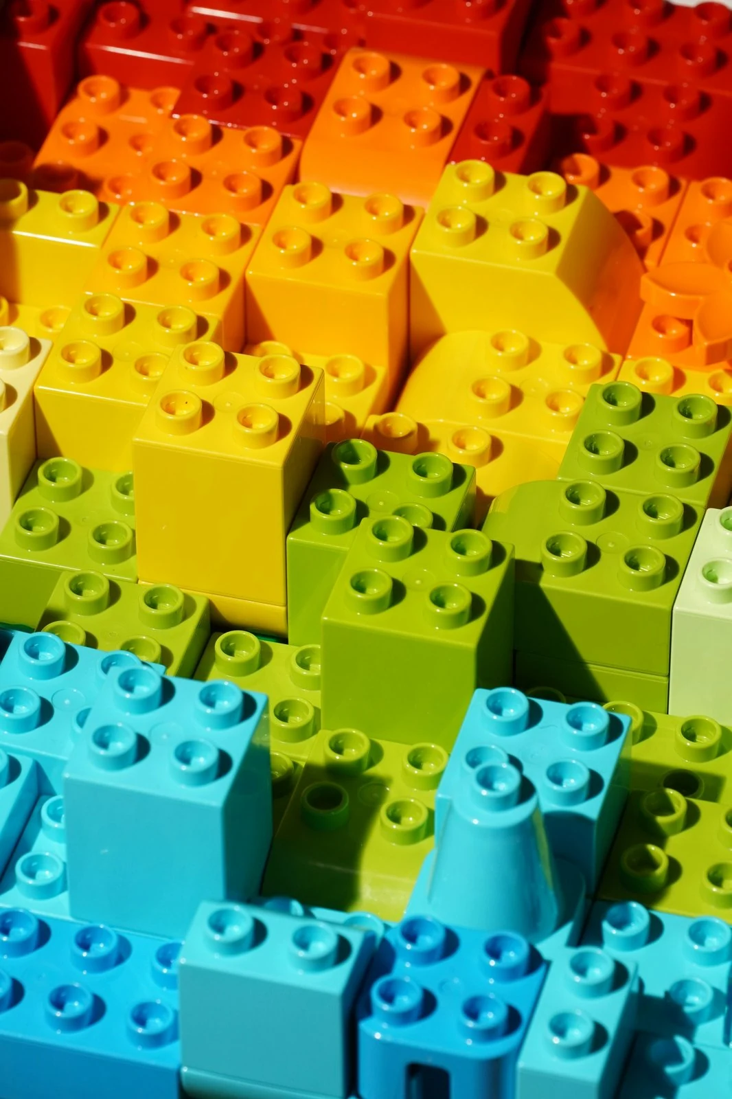 Конструктор LEGO ICONS для взрослых