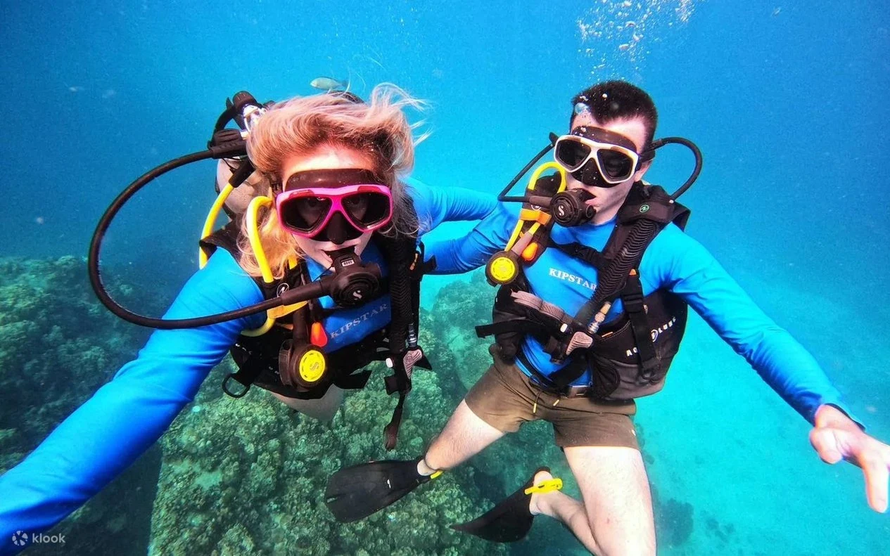 Получить PADI Open Water Diver