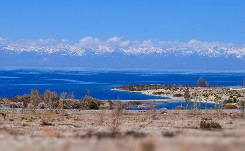 Отпуск на берегу Иссык-Куля